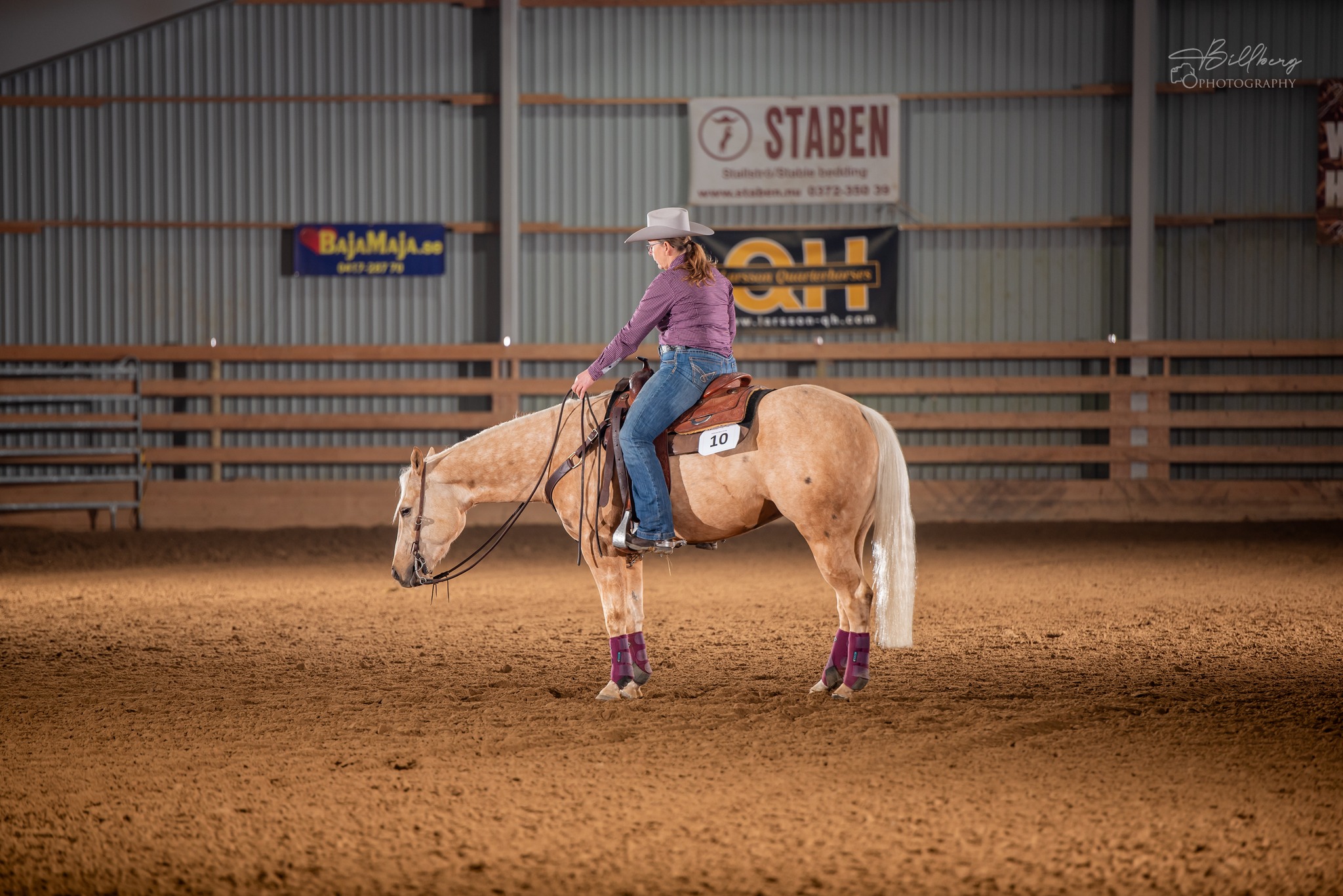 Pine Ridge Ranch | Piteå