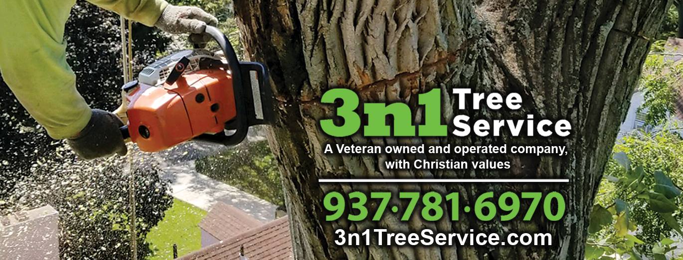 3n1 Tree Service | Beavercreek OH