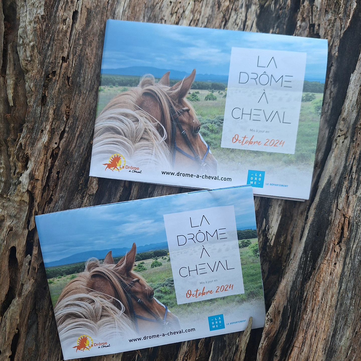 Isère Cheval Vert added a new photo. - Isère Cheval Vert