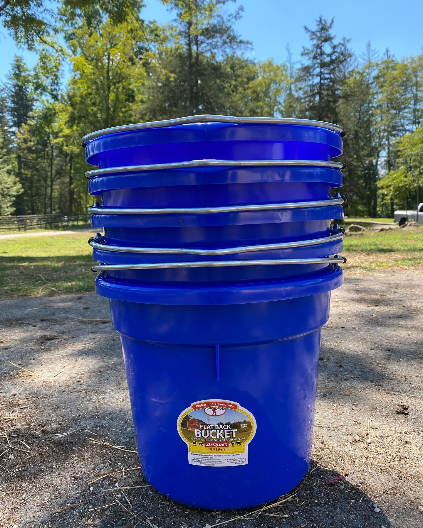 We got some new feeding buckets... - Time Out Foundation | Facebook