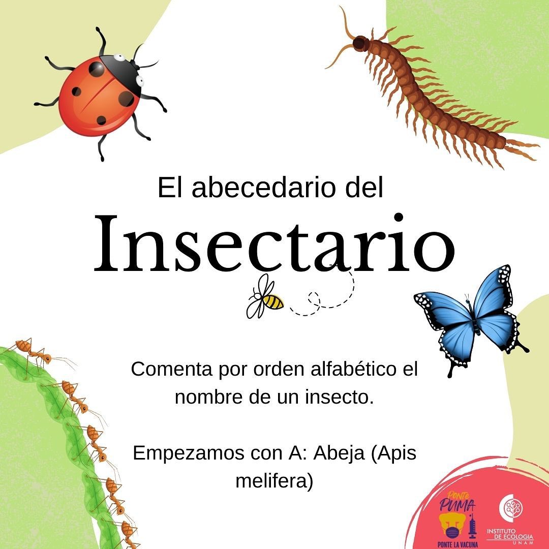 Hasta el 2008, se habían... - Instituto de Ecología, UNAM.