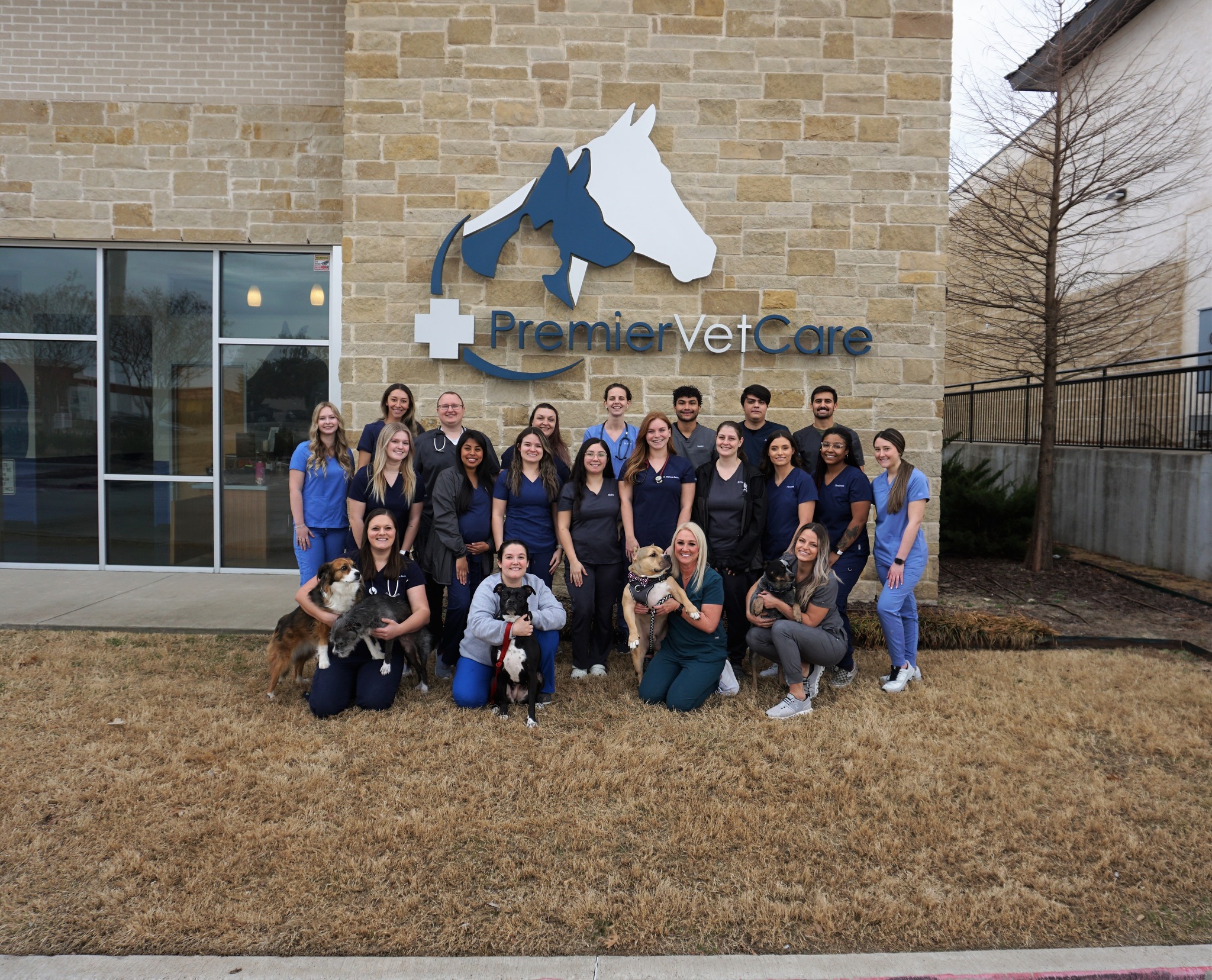 Memorial Veterinary Clinic - Does your cat have reservations about ...