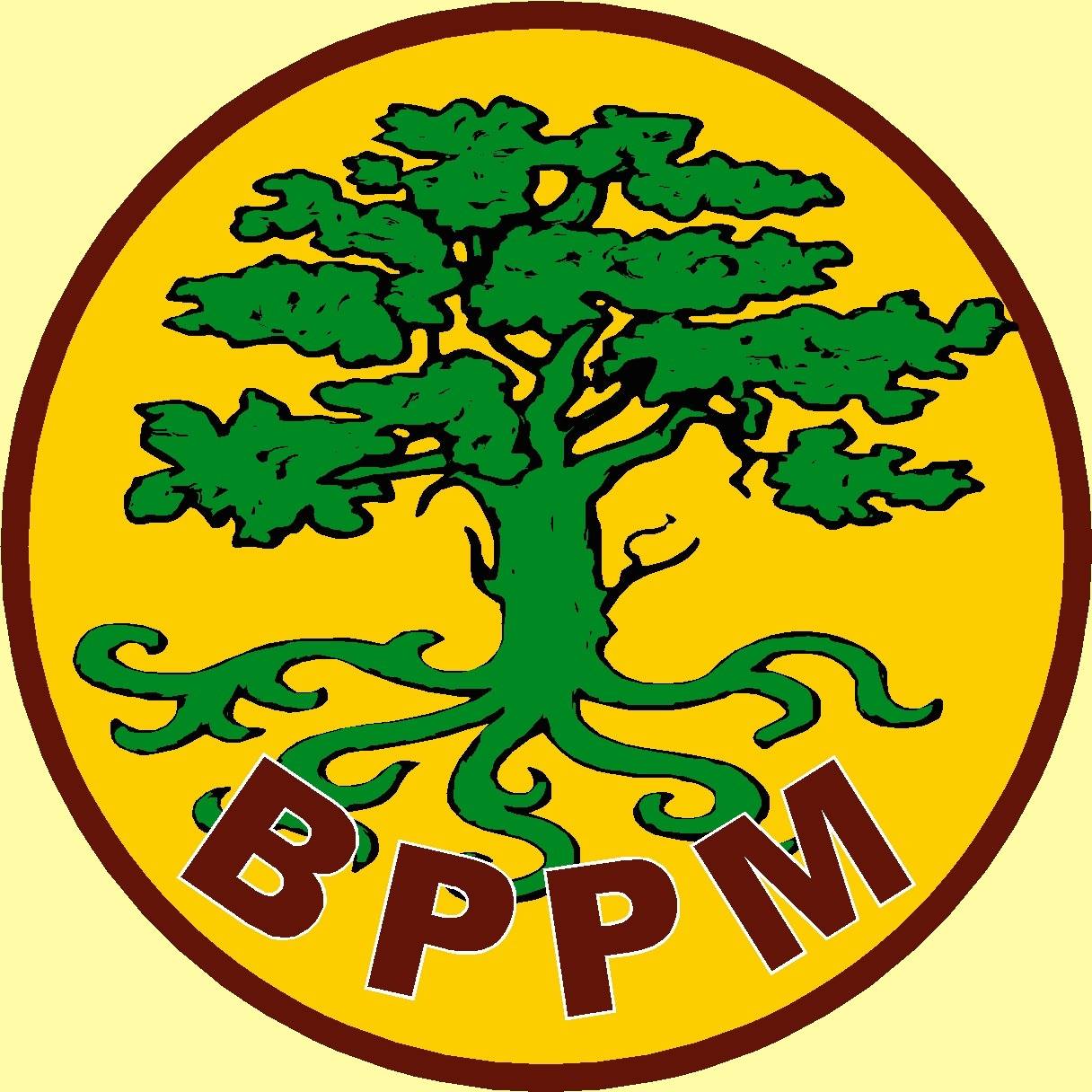Basic Income for... - Boyle Payroll Project Management - BPPM | Facebook