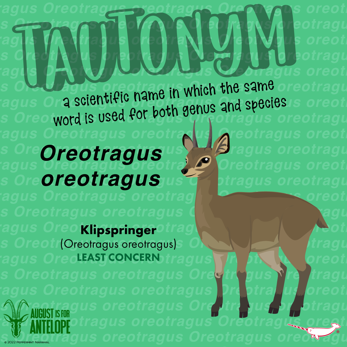 Peppermint Narwhal Creative - TAUTONYM: a scientific name in which the ...