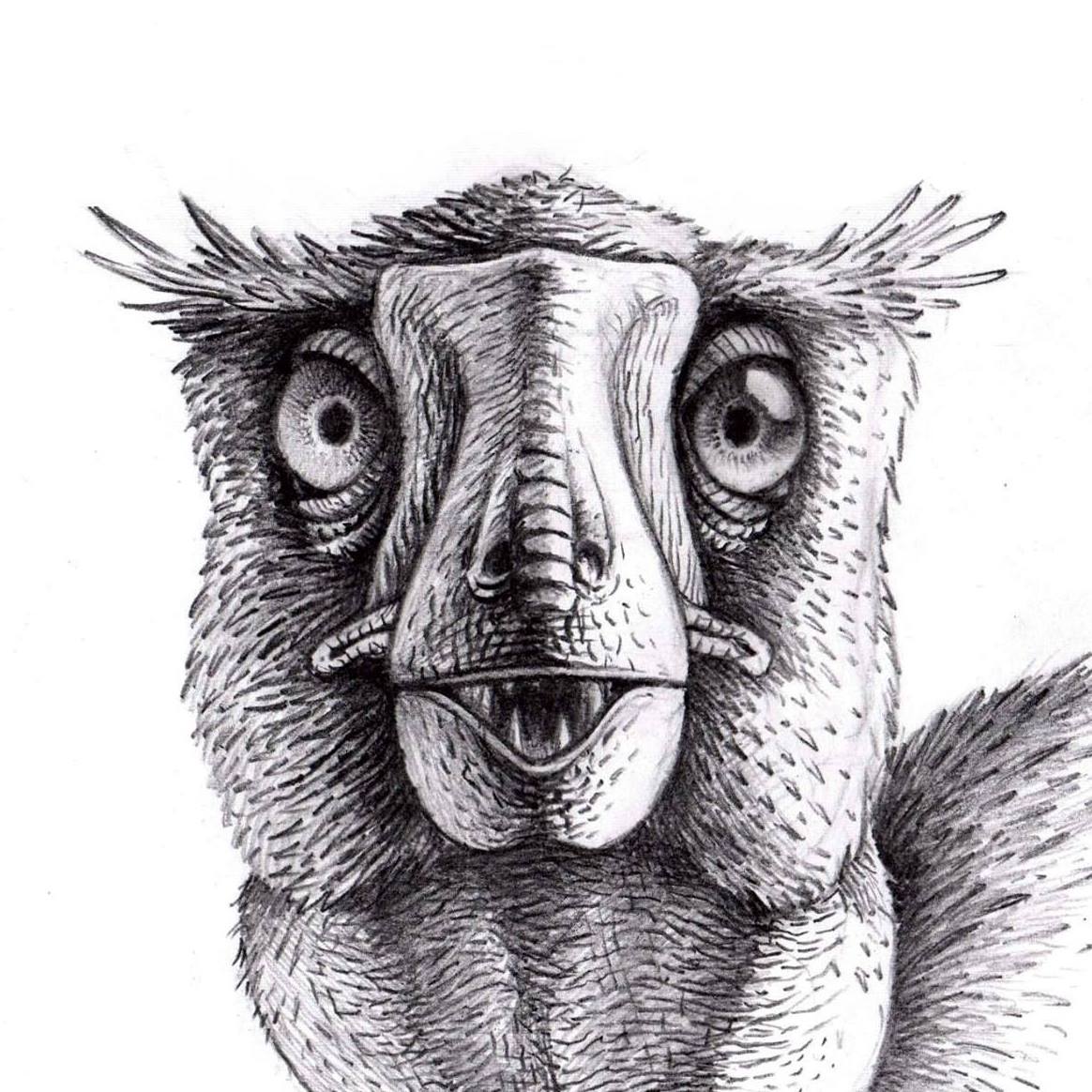 Xiphactinus's Art