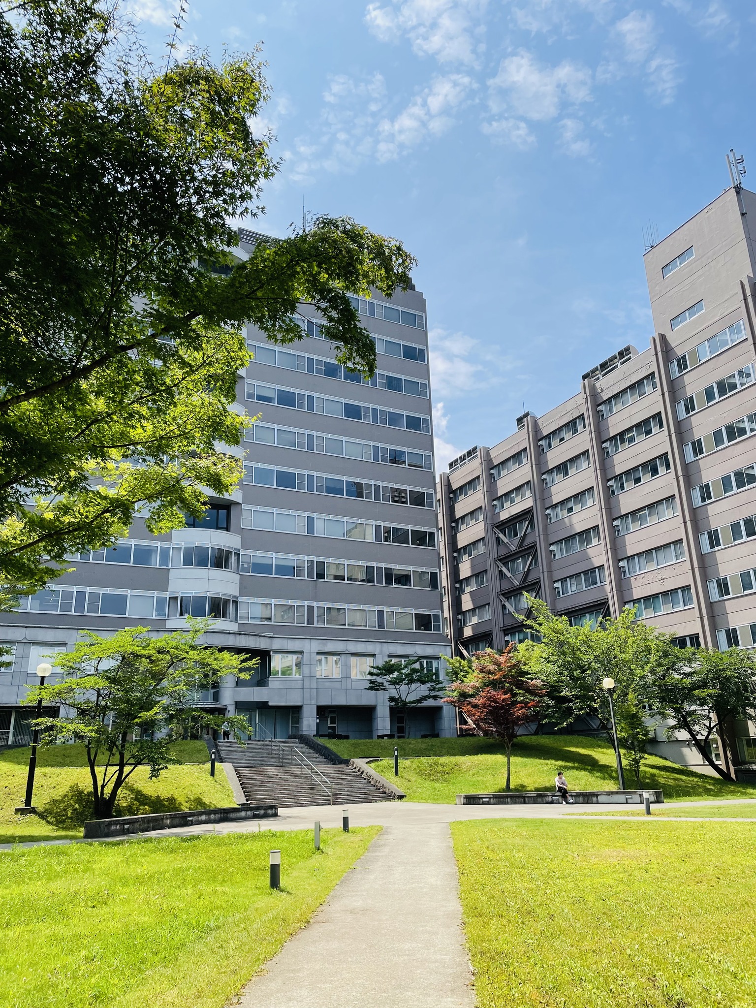 東北 大学 教育 学部