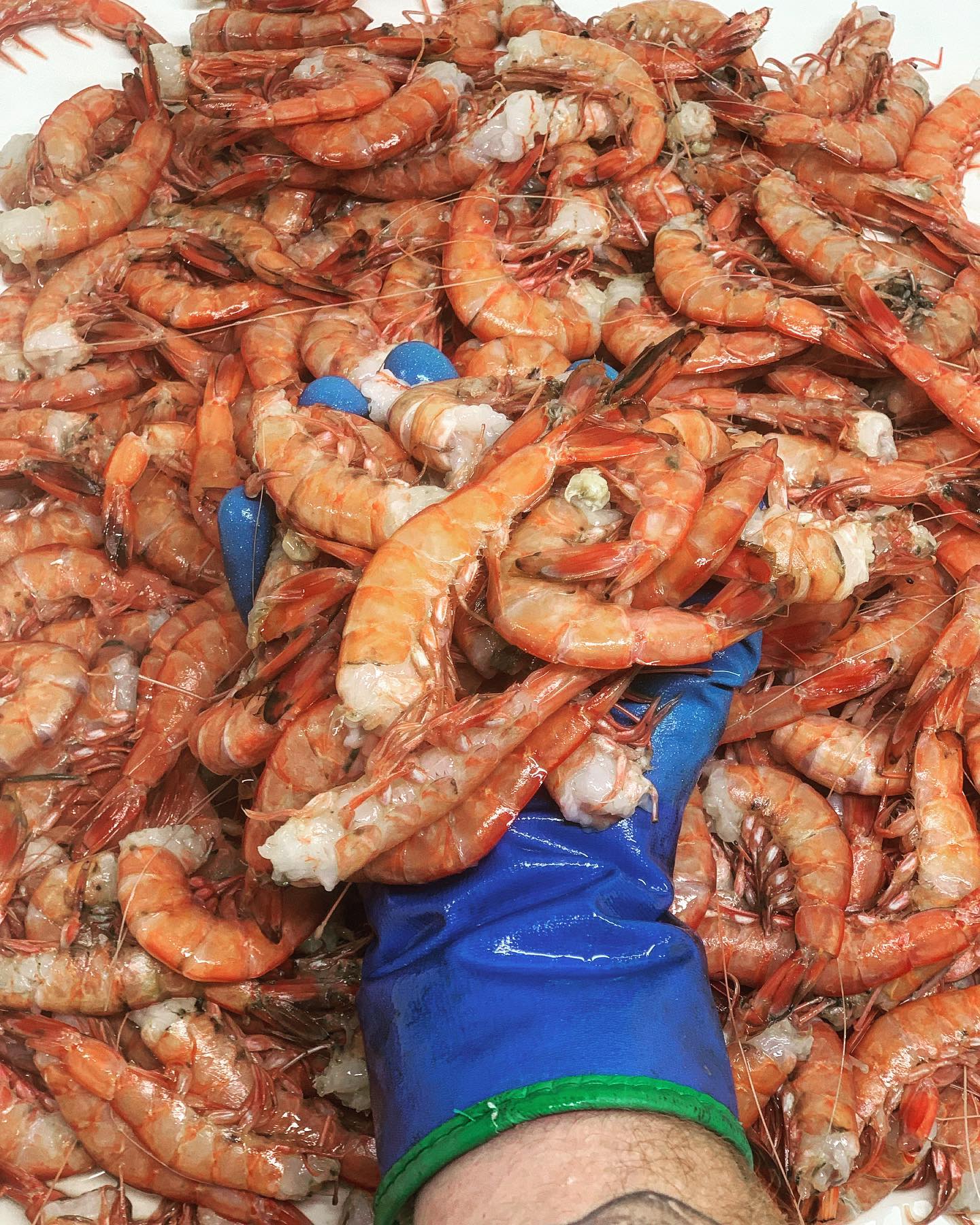 Montauk - The best part of having a fish market in Montauk is getting a ...