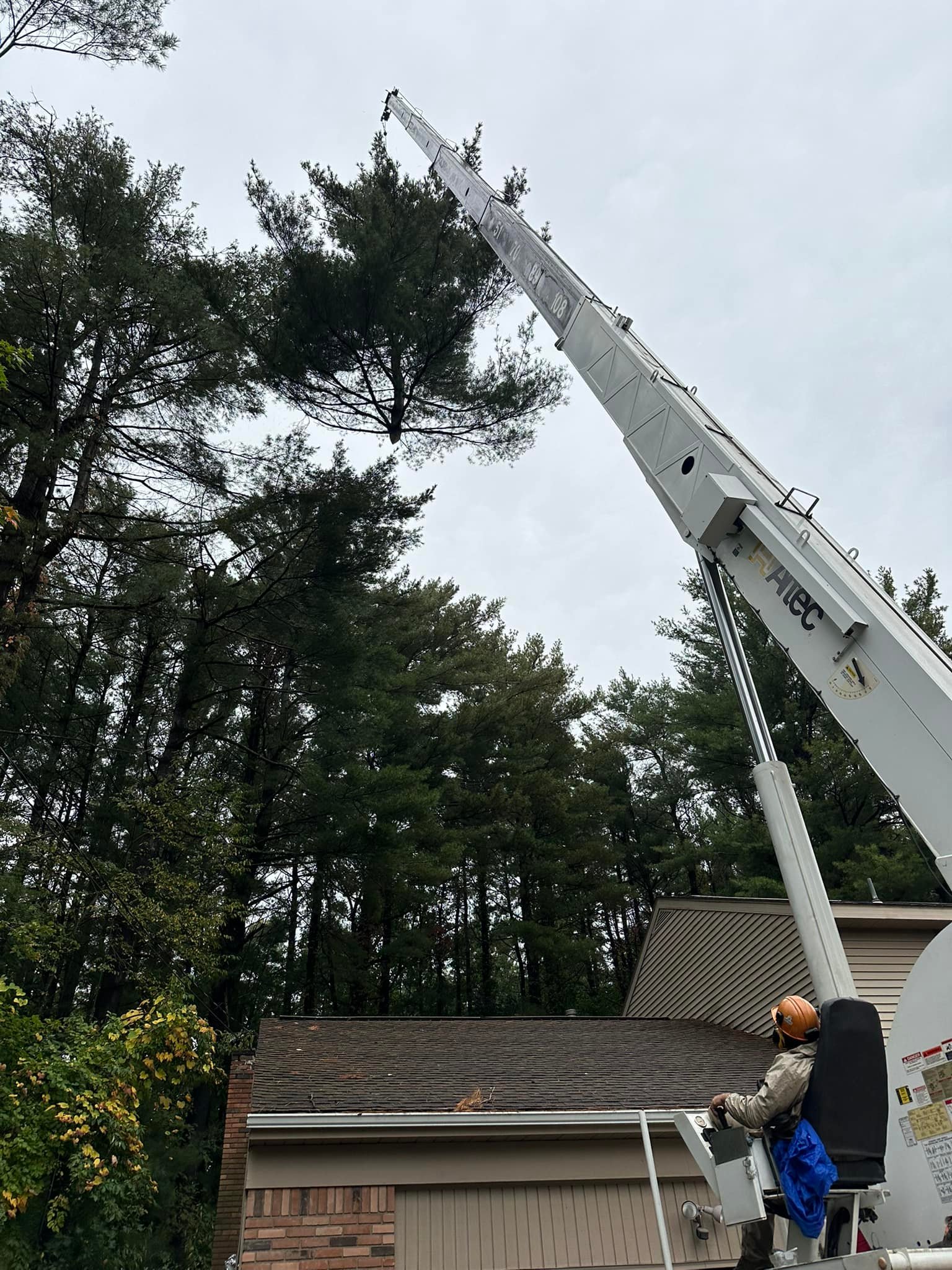 Ballston Tree & Property Services | Ballston Spa NY