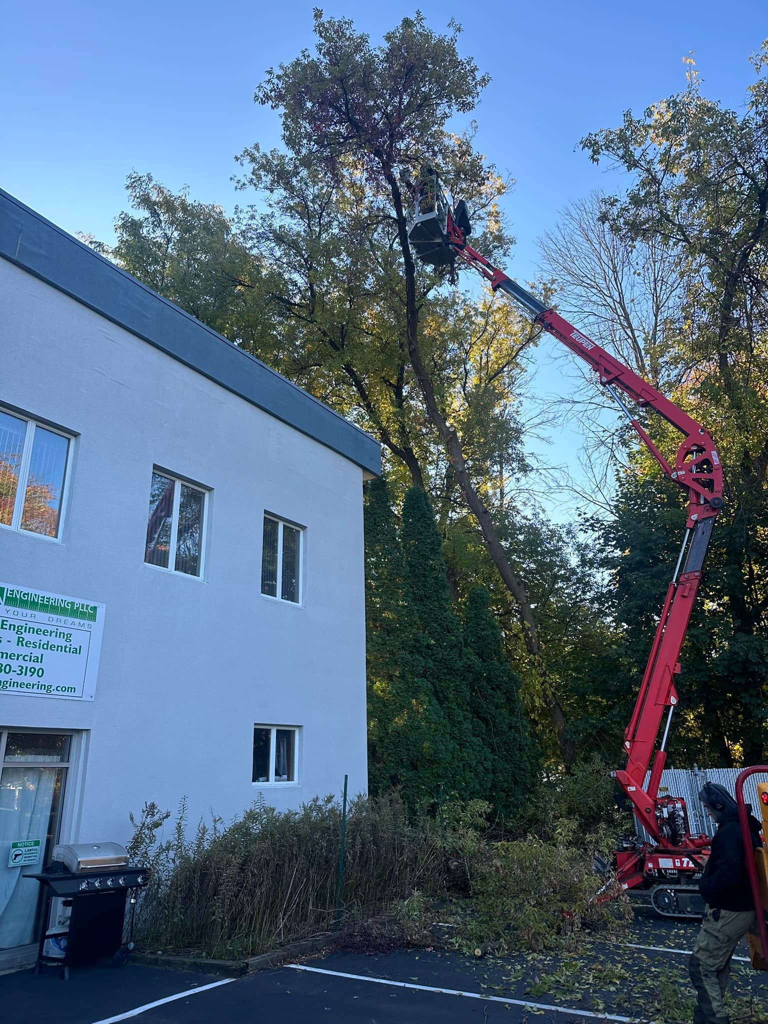 Ballston Tree & Property Services | Ballston Spa NY