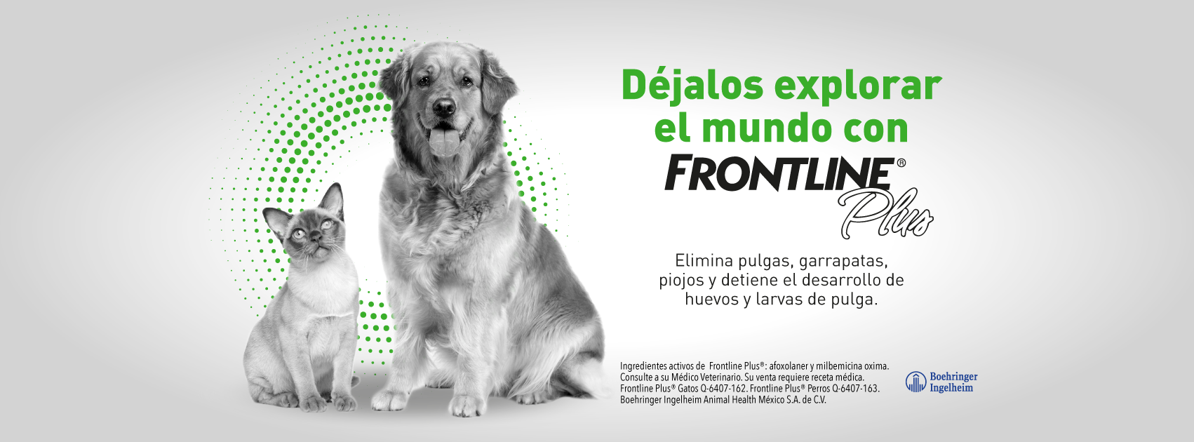Frontline México