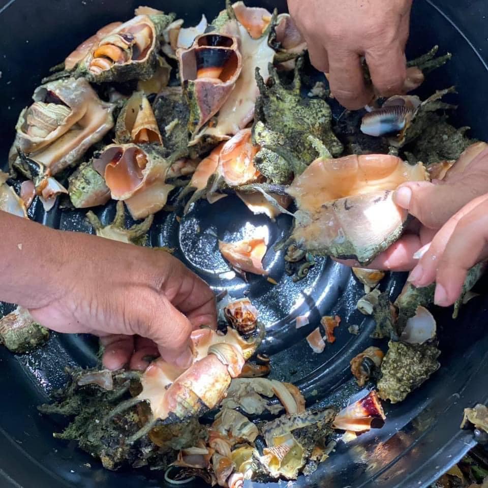 Boiled Saang / Spider Shells 🤤 Unsay... - Proud Bisaya Bai