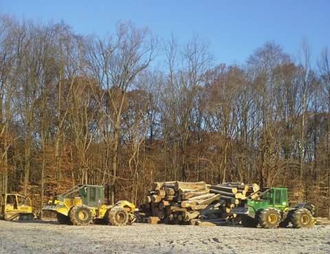 Timbertime Harvesting added a new... - Timbertime Harvesting