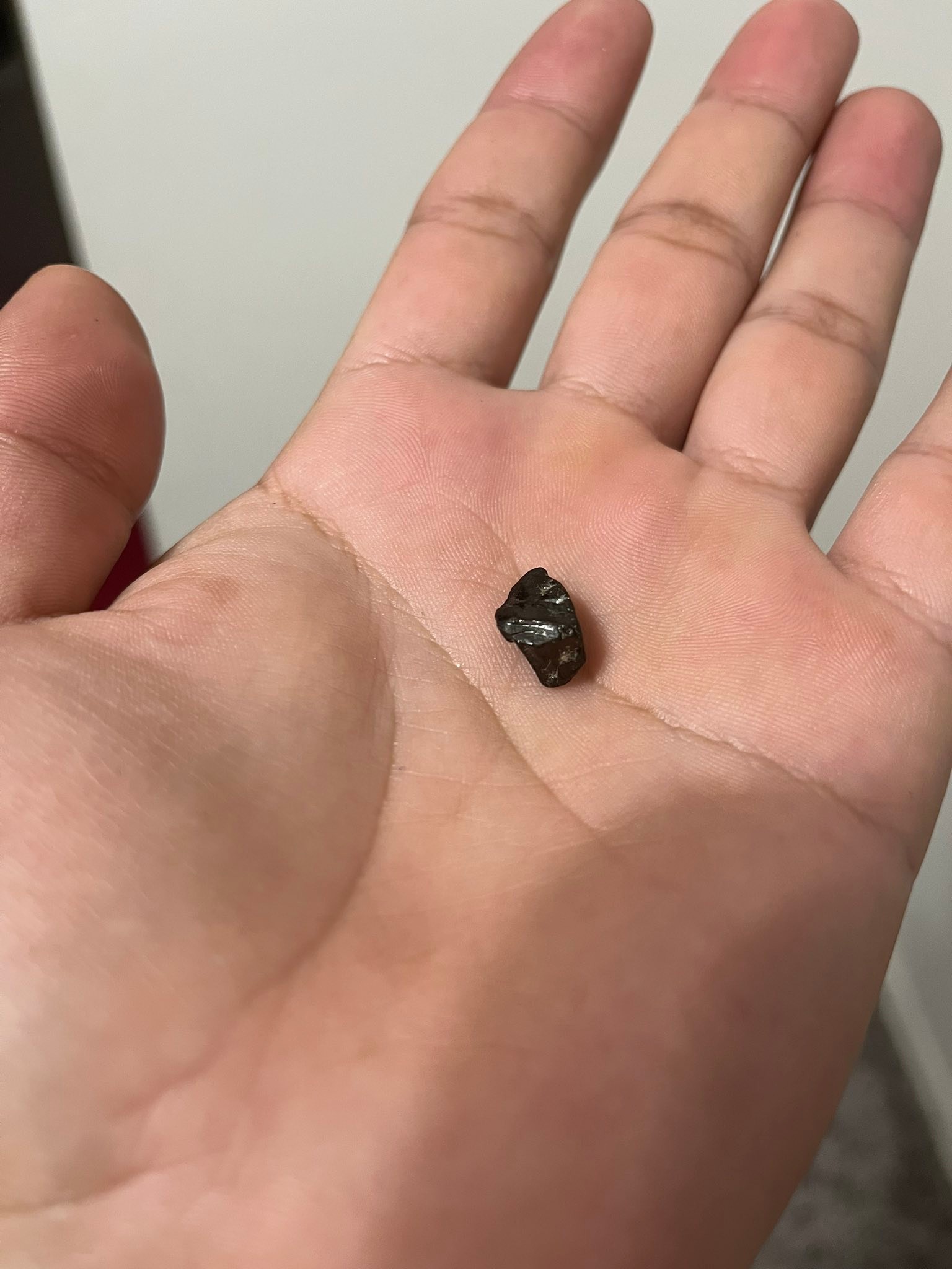 Obsidian found in Byberry Creek in Philadelphia after heavy rain