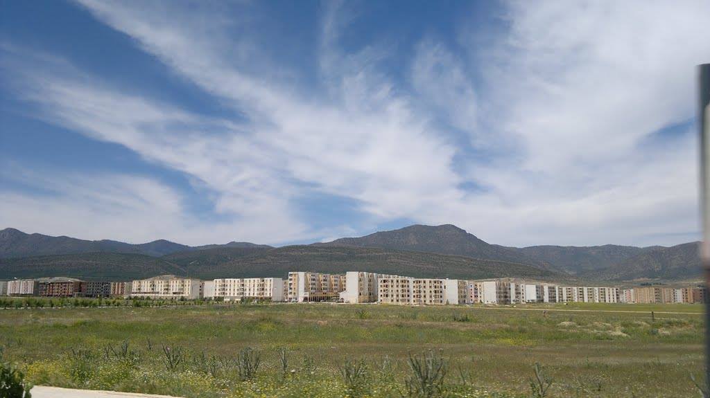 Hamla | Batna