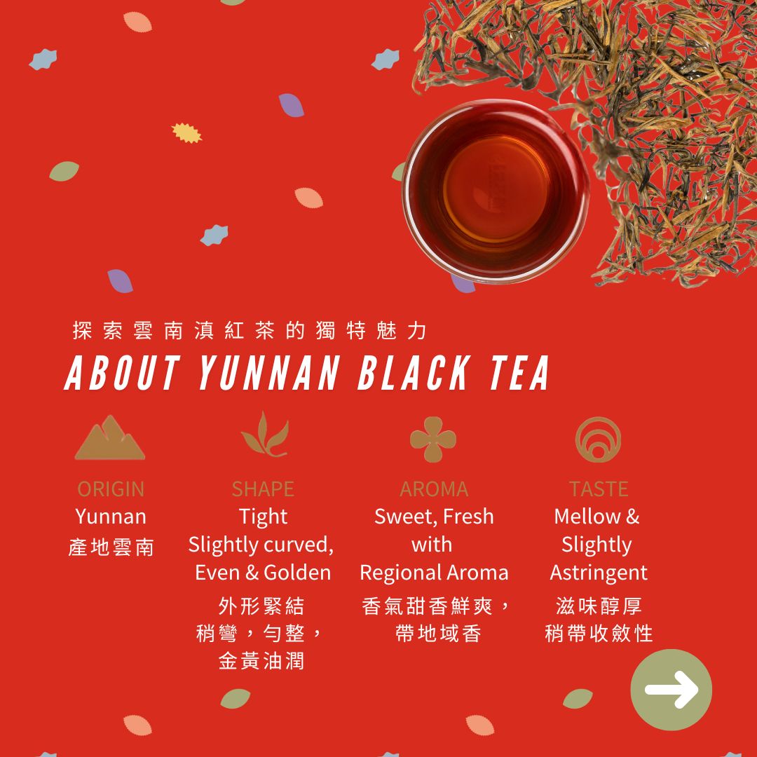 Tea Moment 活在茶下 | Tsim Sha Tsui