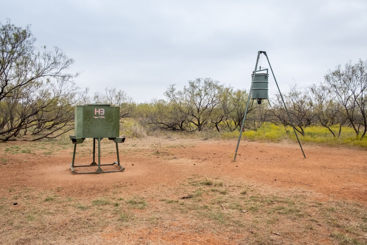 Diamond P Ranch | Crowell TX