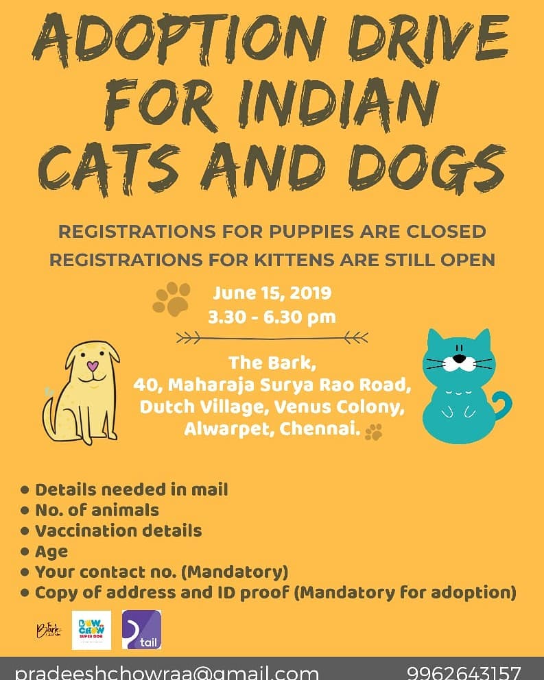 Safe Paws Rescue and Adoption Center