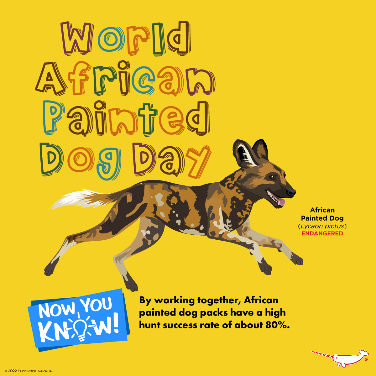 peppermint-narwhal-creative-happy-world-african-painted-dog-day-now