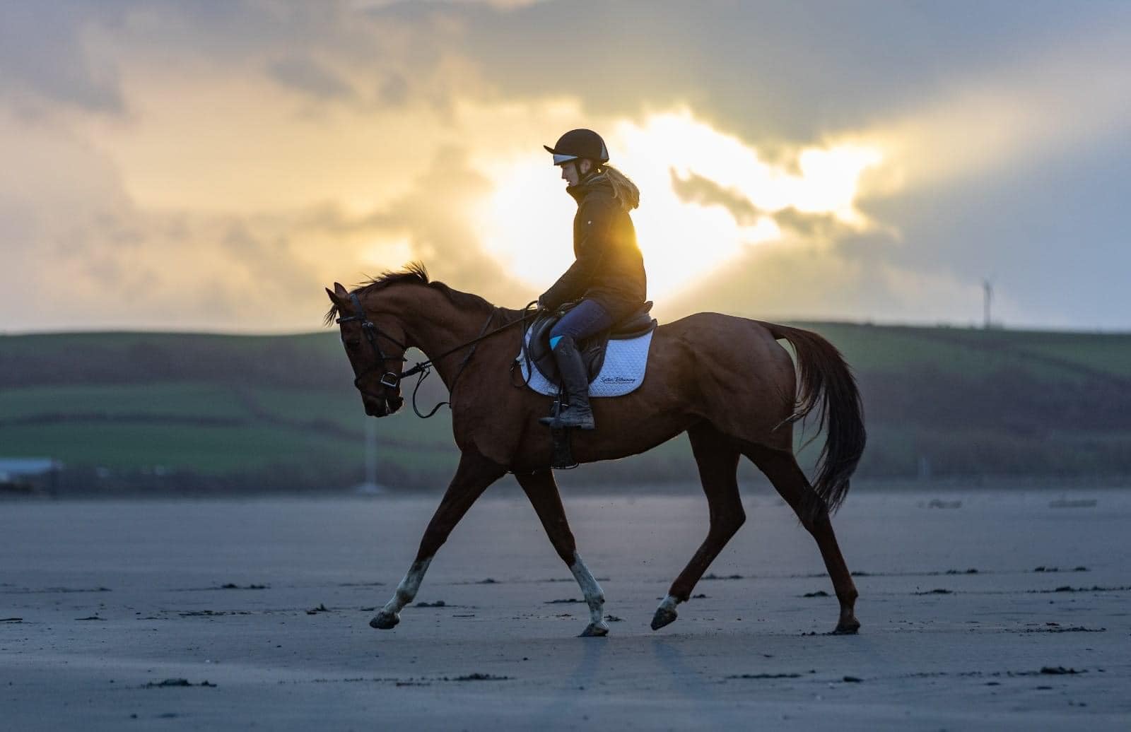 Roger Ingram Racing | Epsom