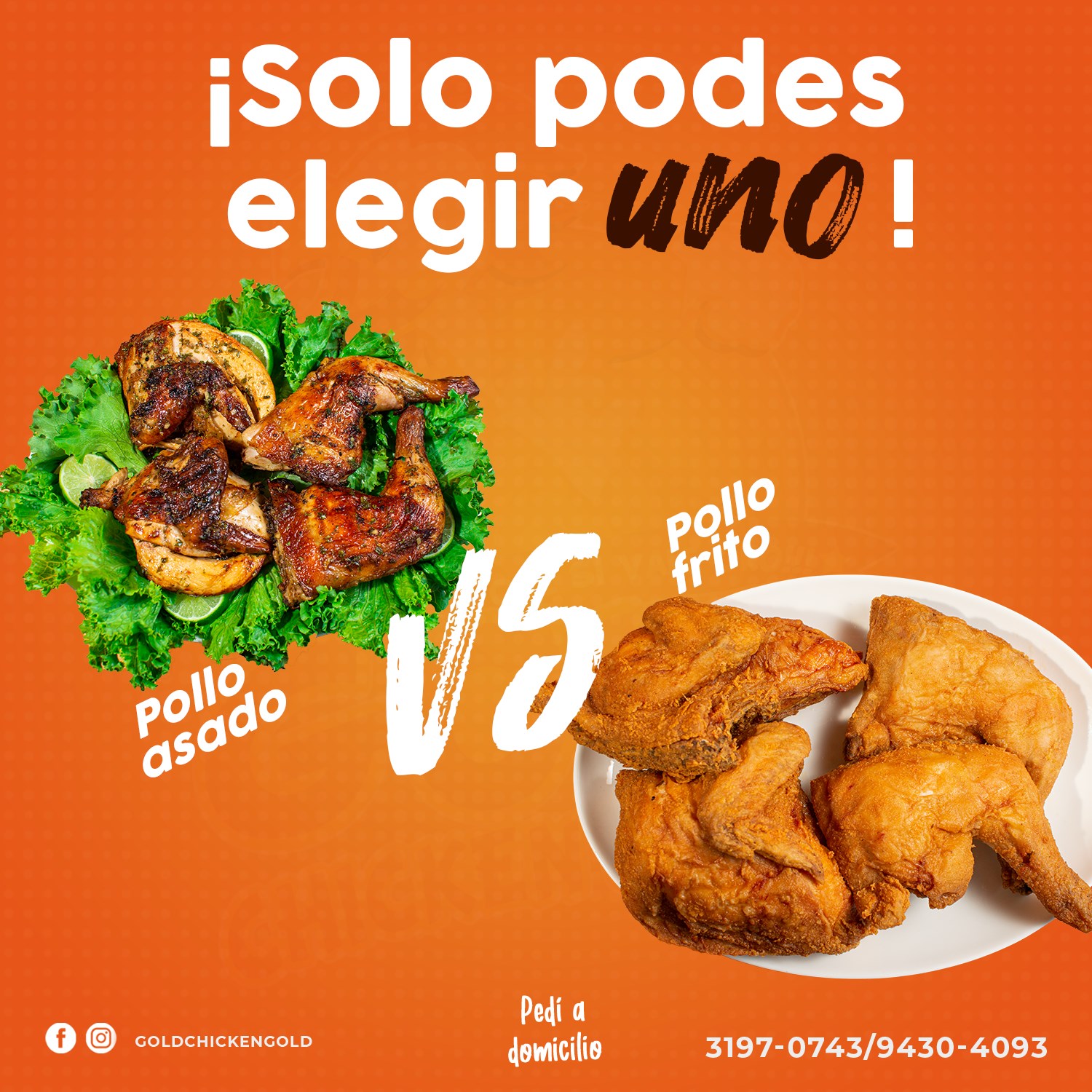 ¿Cuál es el pollo que mas te gusta?... - Gold Chicken Gold | Facebook