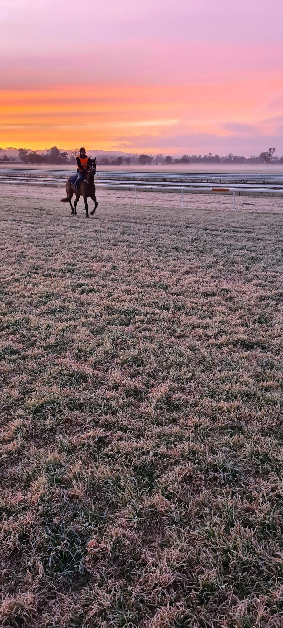 Congratulations from the... - Muswellbrook Race Club
