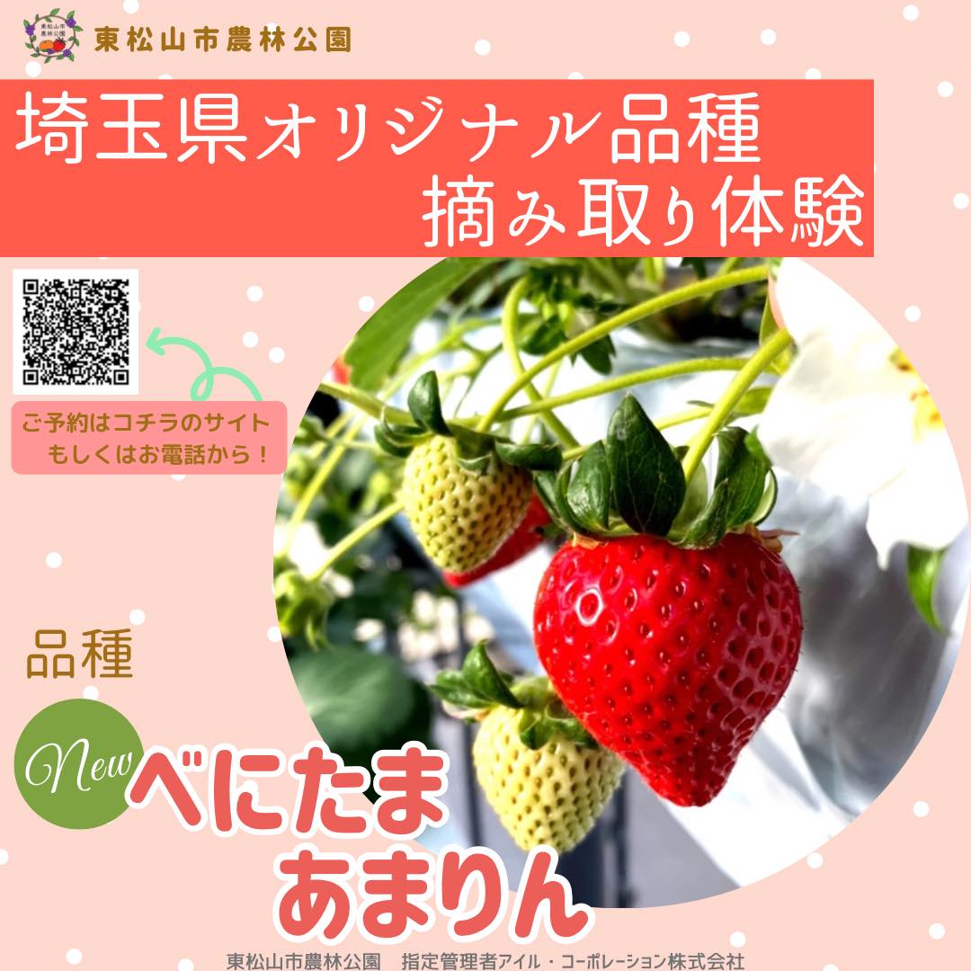 🍓埼玉県オリジナル品種摘み取り体験ご予約開始🍓 東松山市農林公園は