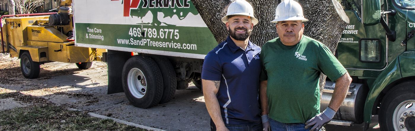 SP Tree Service | Grand Prairie TX