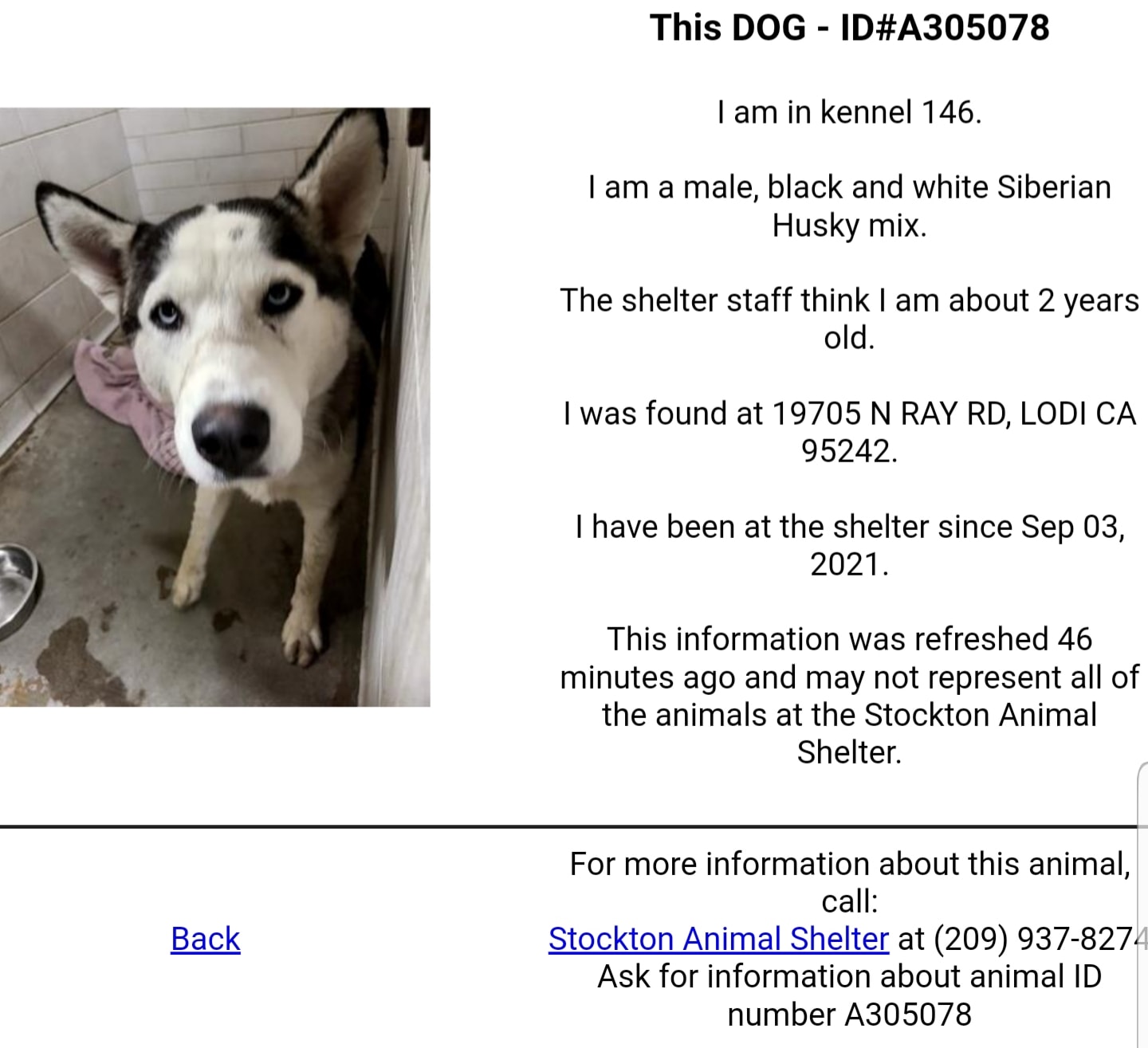 ほめ What are good places near Stockton or Lodi to see and pet animals?