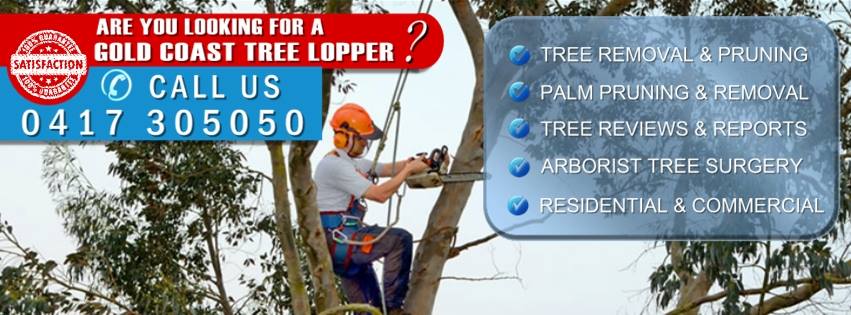 Tree Loppers Gold Coast Tree Felling & Services | Gold Coast QLD