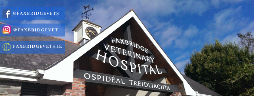 Faxbridge Veterinary Hospital | Clonakilty