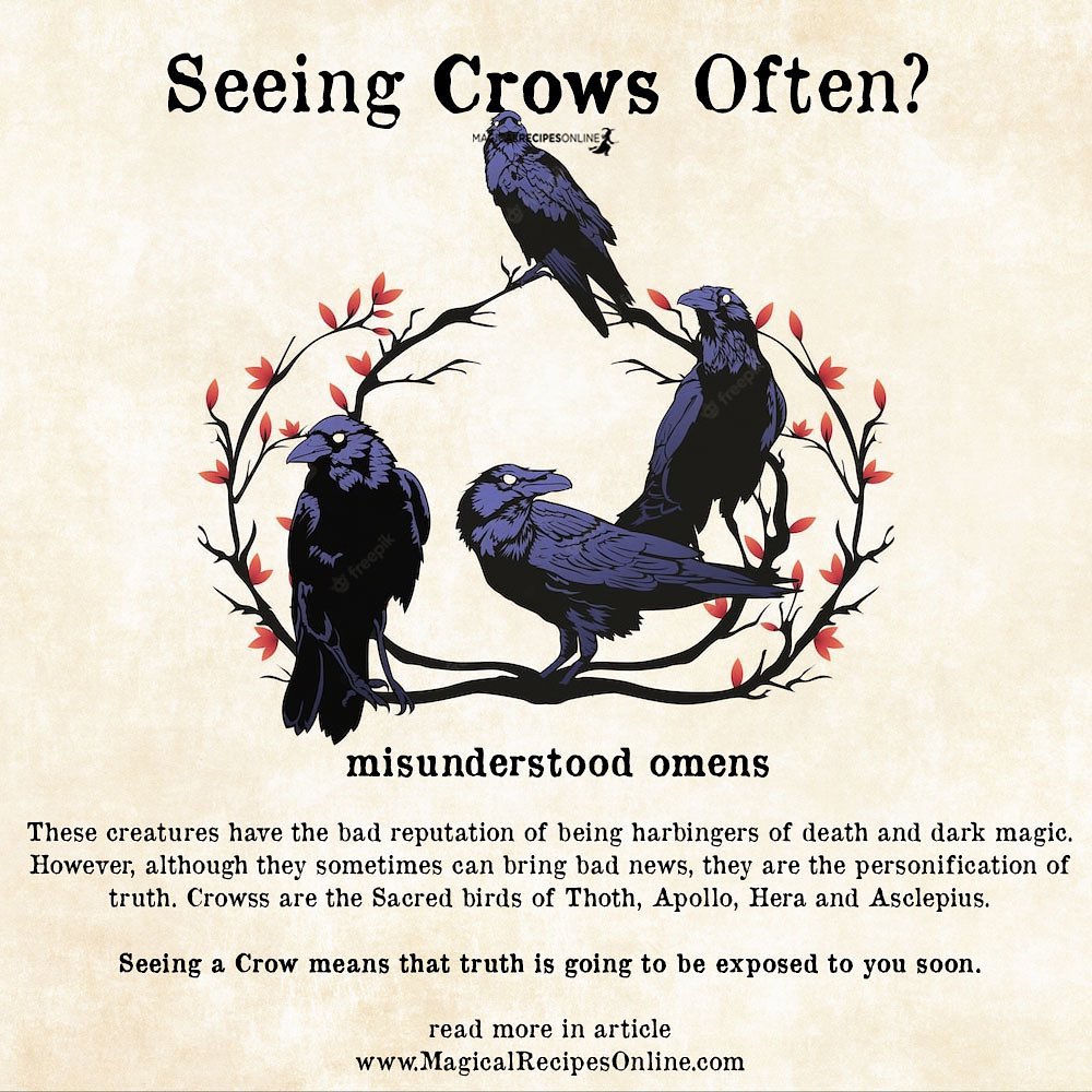 Do you see Crows often? This is a... - Magical Recipes Online | Facebook