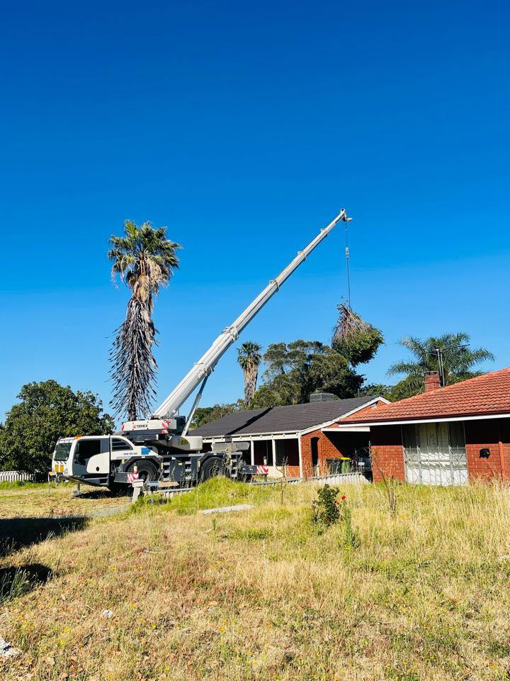 CPD Tree Services added a new photo. - CPD Tree Services
