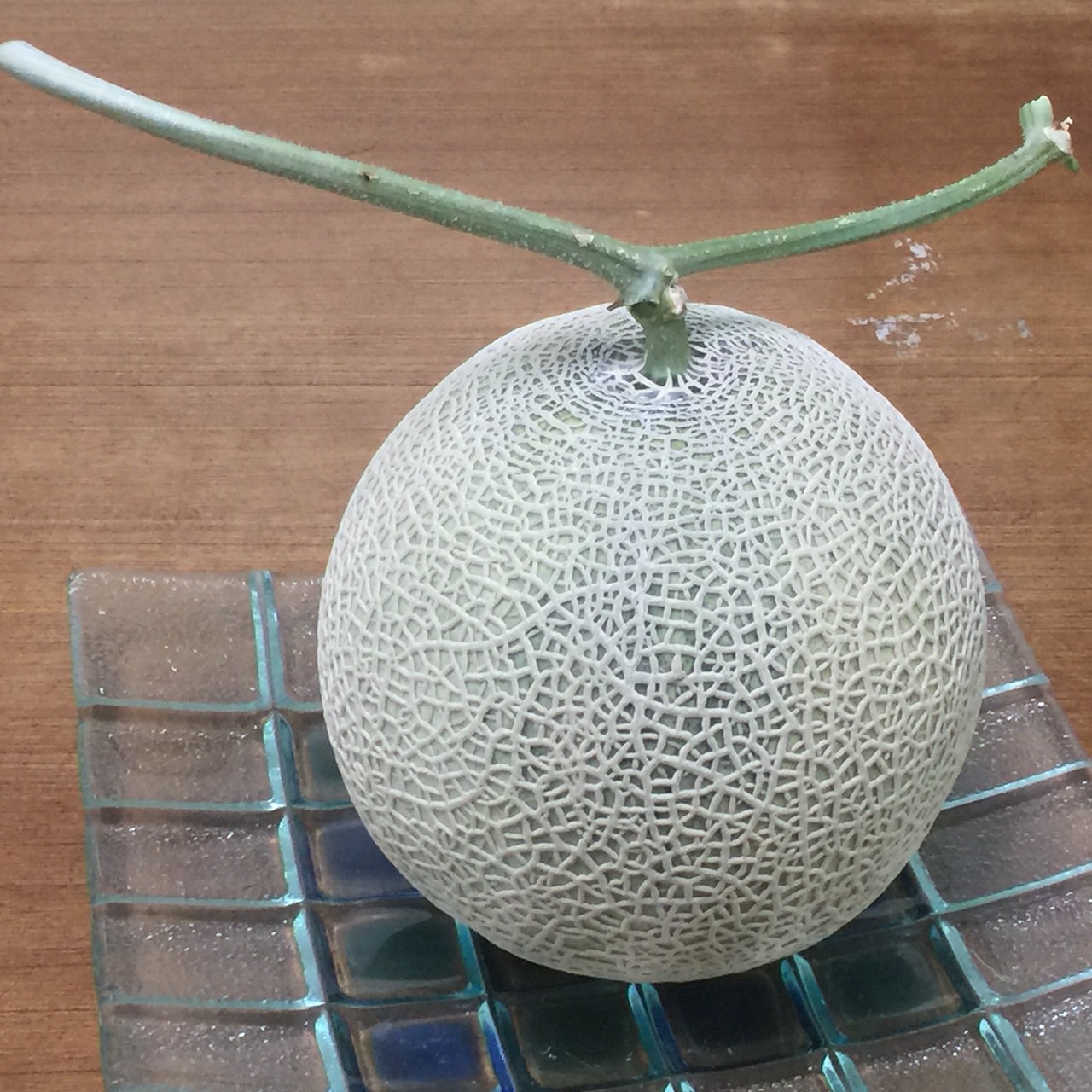 黃河果園 - 網紋洋香瓜的T字型果梗象徵振翅高飛的白鶴 細緻的紋路象徵龜殼紋路的龜 我們的情誼像龜鶴壽命般的綿長...