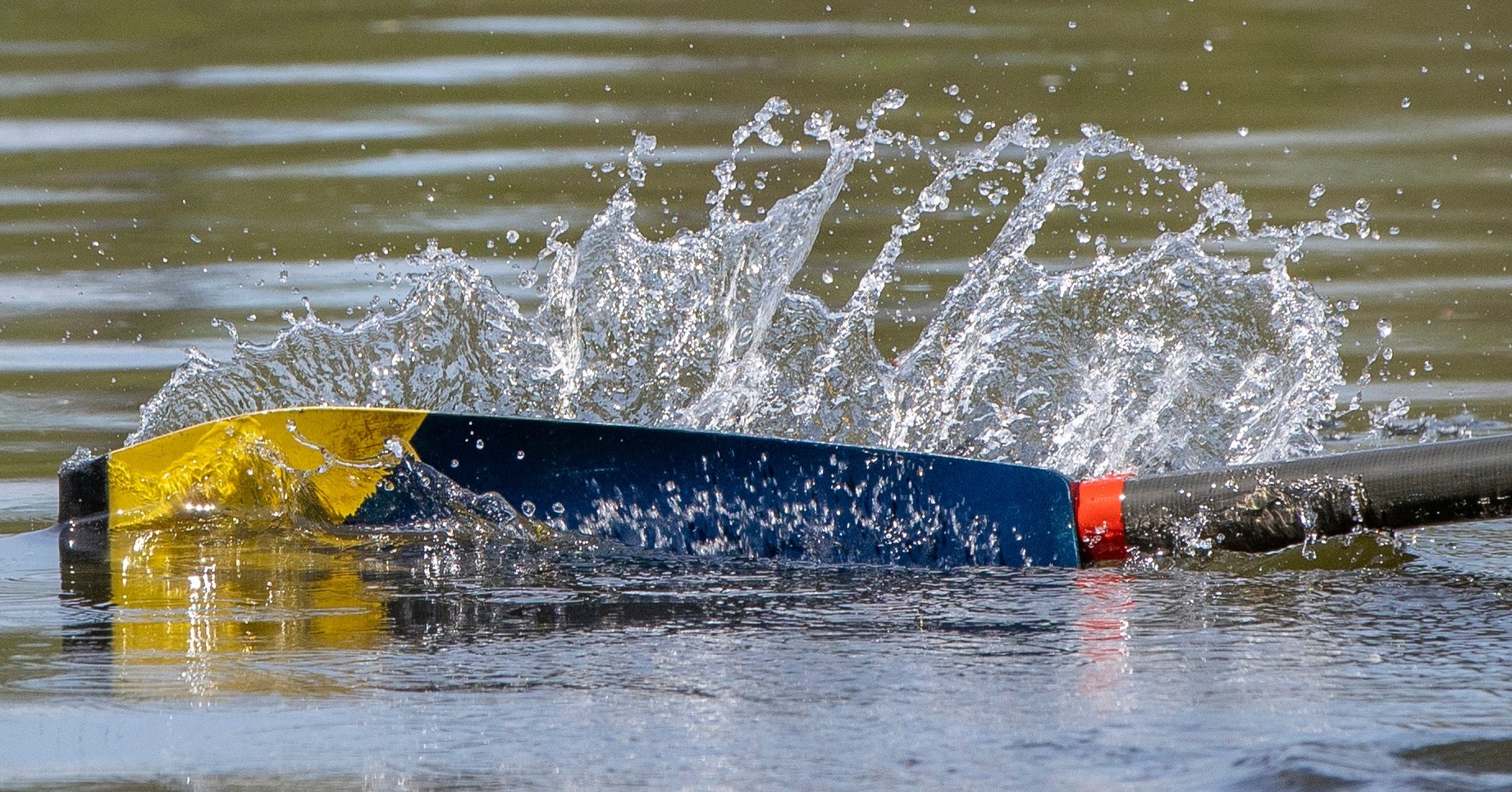 Rent-a-Rower, University of Michigan Men's Rowing | Ann Arbor MI