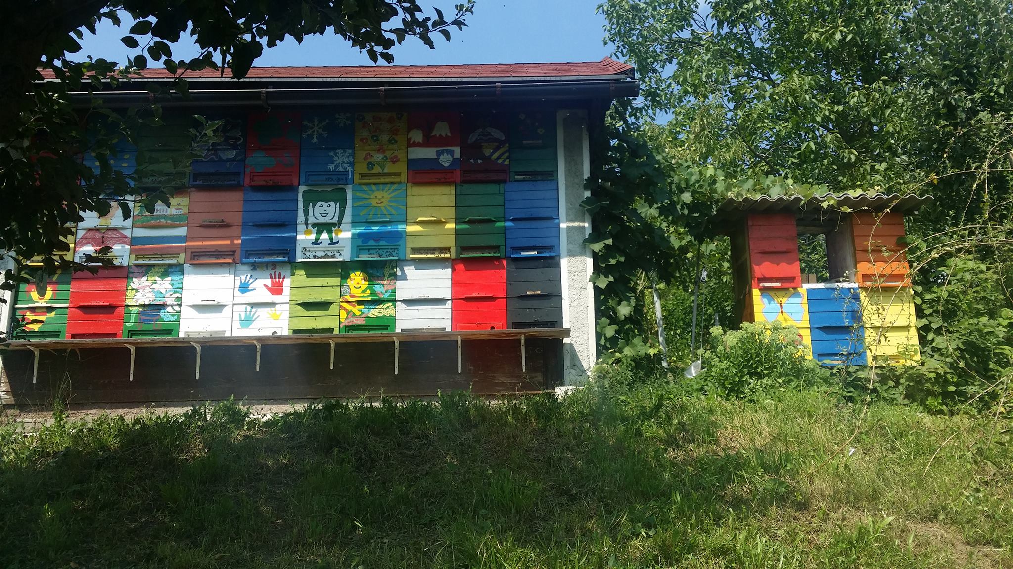 Čebelarstvo... - Čebelarstvo Kozinc / Beekeeping Kozinc