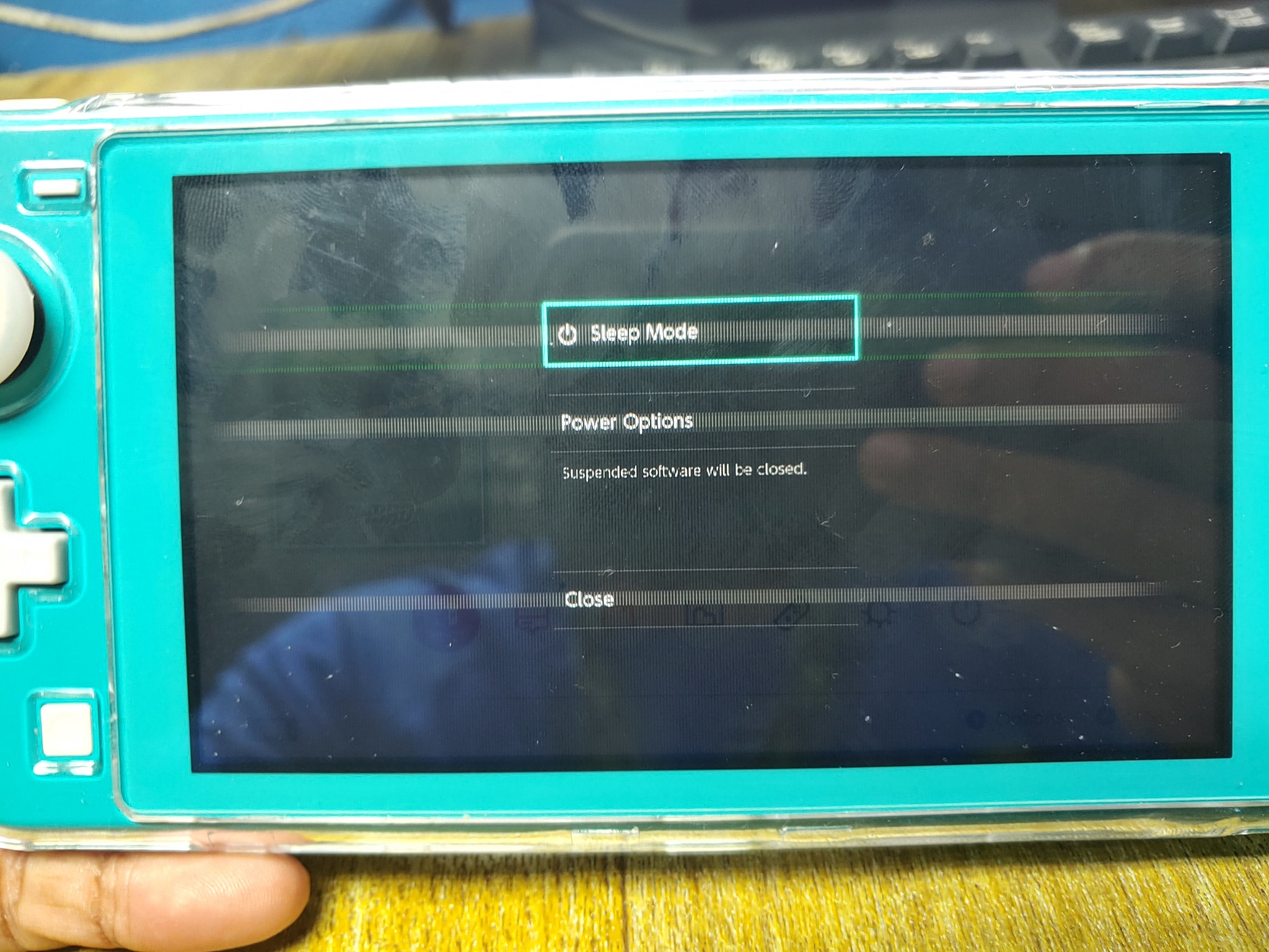 Switchライト Pixelated screen in the middle of a game
