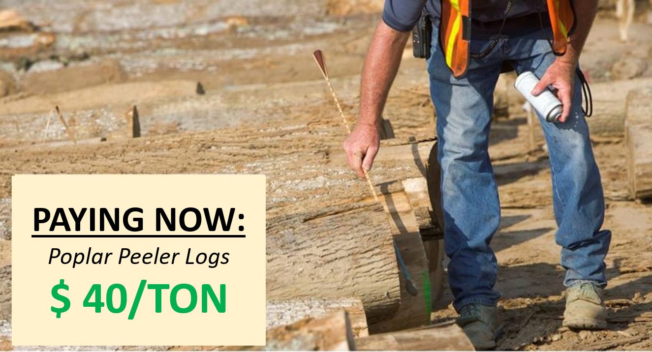 Columbia Forest Products Gordonsville, VA Log Yard