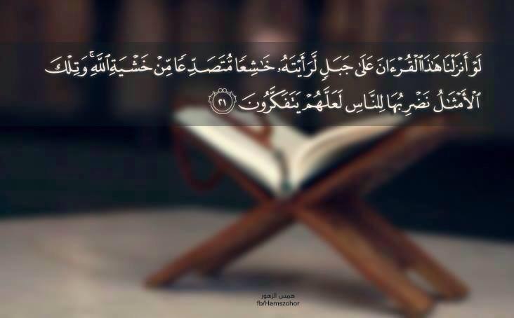 أهل القرآن وخاصته - •┈┈•≪🌷≫•┈┈ روائــــع البيـــان القـــرآني •┈┈•≪🌷≫ ...
