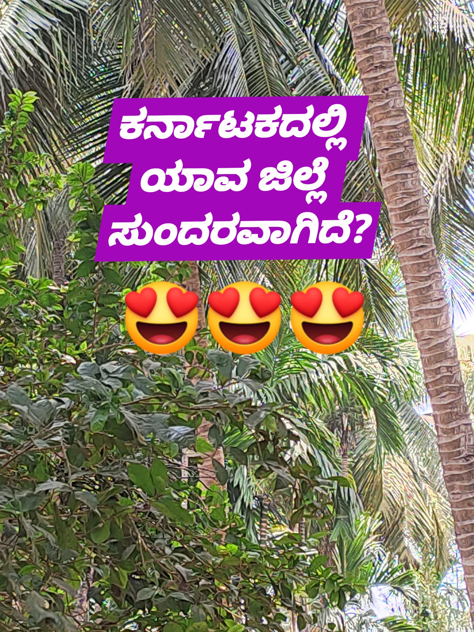 Kannada Karnataka (ಕನ್ನಡ ಕರ್ನಾಟಕ ) | Facebook