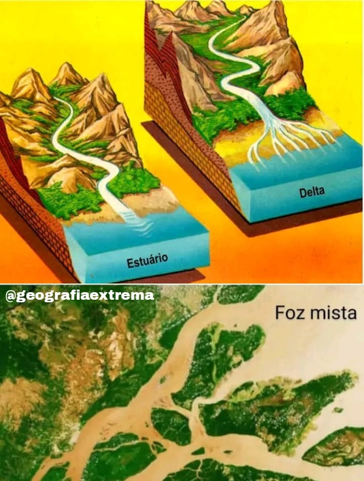 1. FOZ EM DELTA: é aquela em que se... - Geografia Extrema Mz