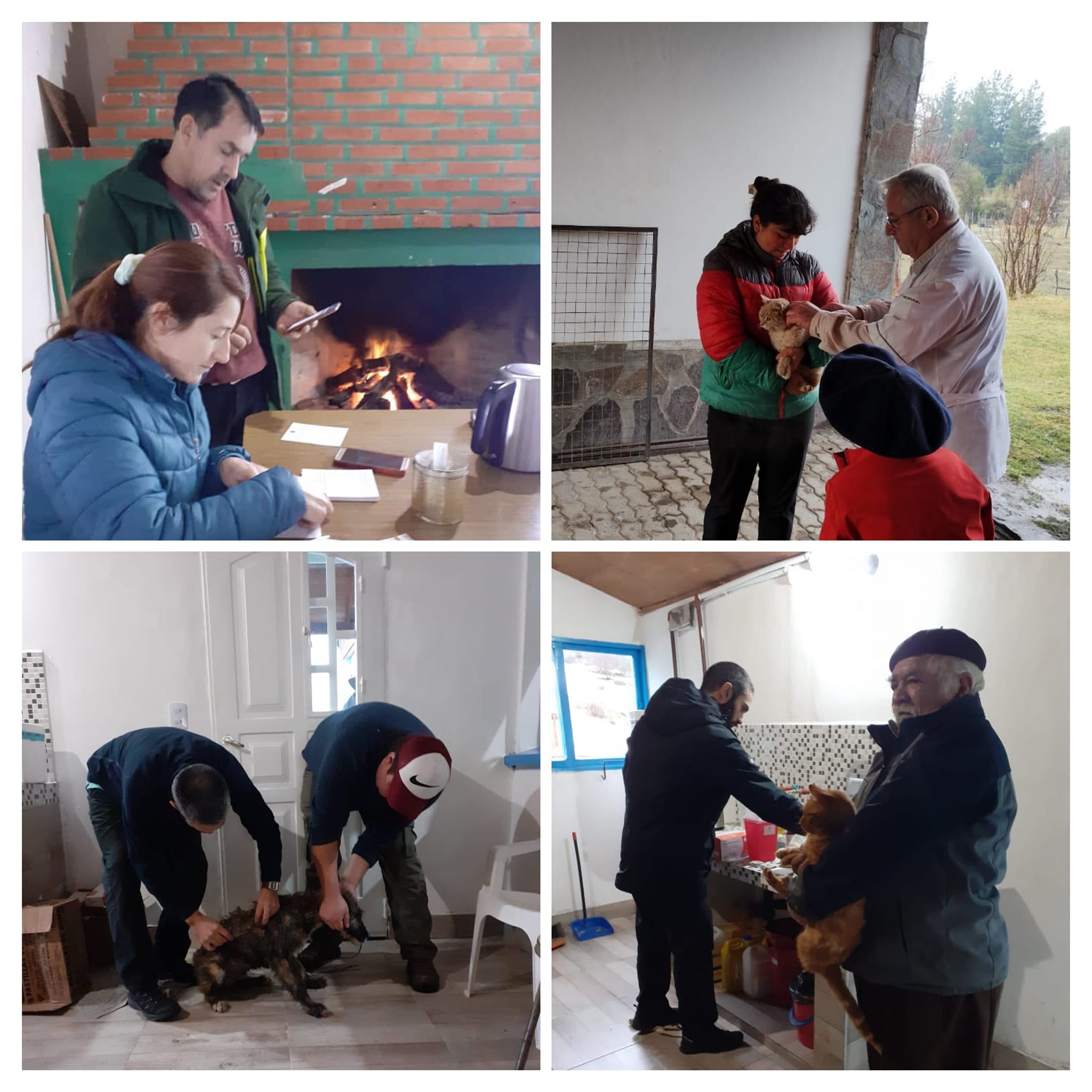 #zoonosis #prevencion #rabia... - Area Programática Esquel