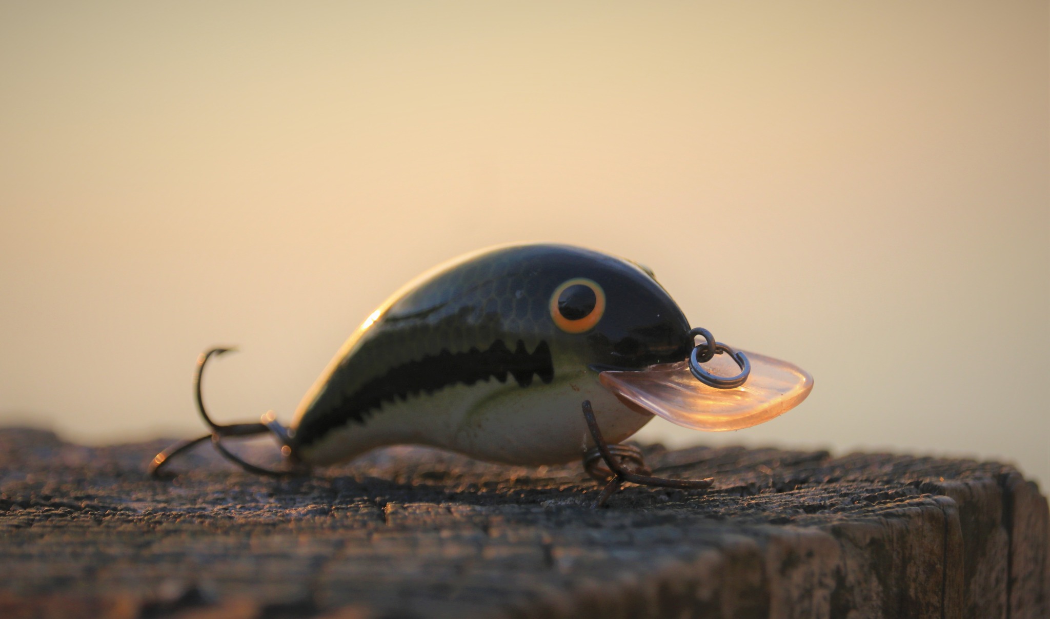 doa fishing lure B.O.B. Best of the Best Kit Tying Made in Florida. Fishing Lures for Bass MODEL:MXJ6/4 MC G2 WITH GLIDE PLATE