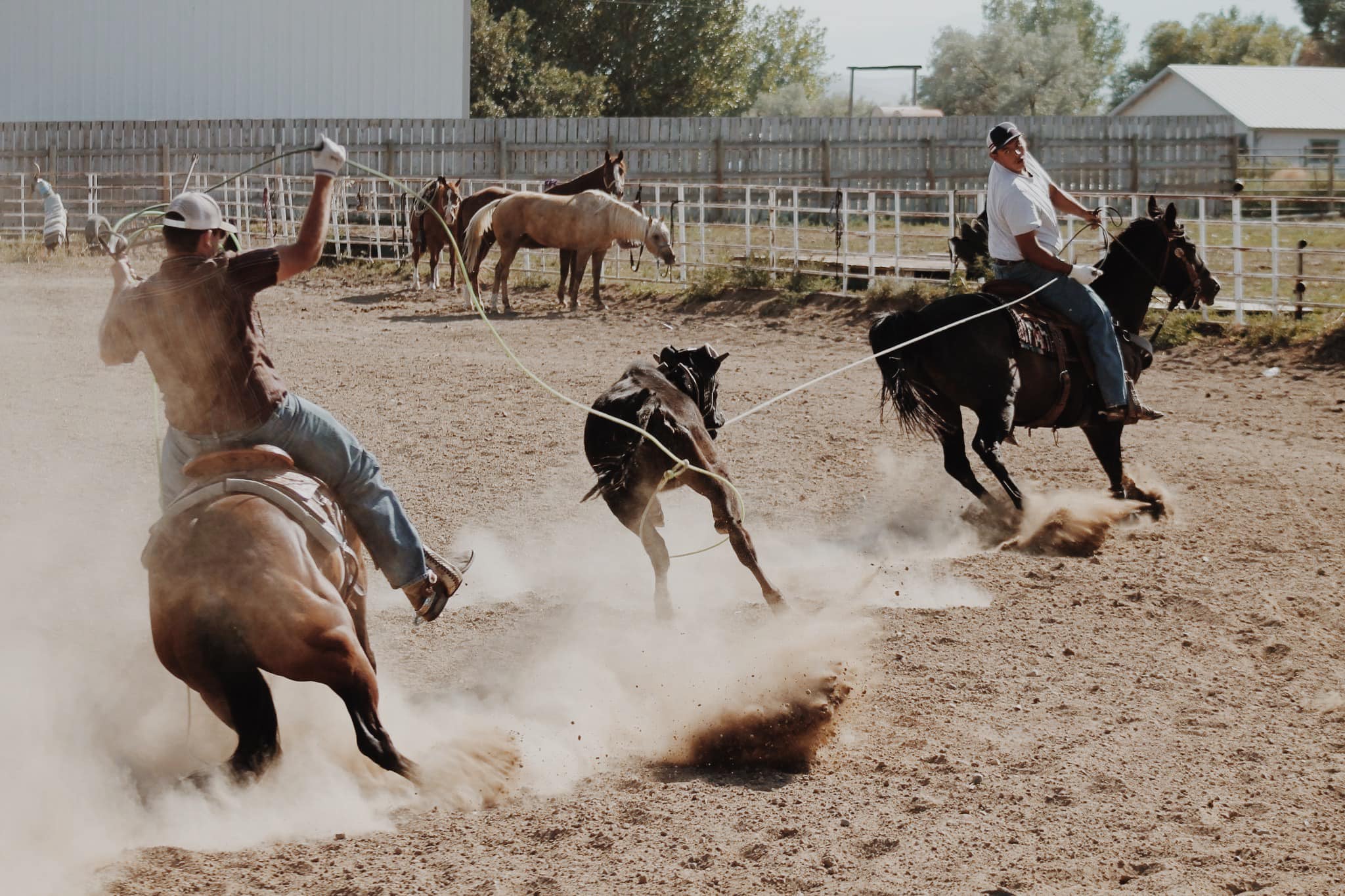 Northwest College Rodeo Team