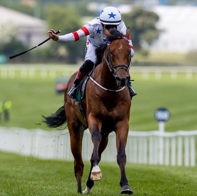 Michael O'Callaghan Racing | Dunlavin
