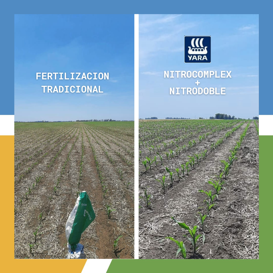 🤝La confianza es uno de... - Bibiloni Compañía Agropecuaria