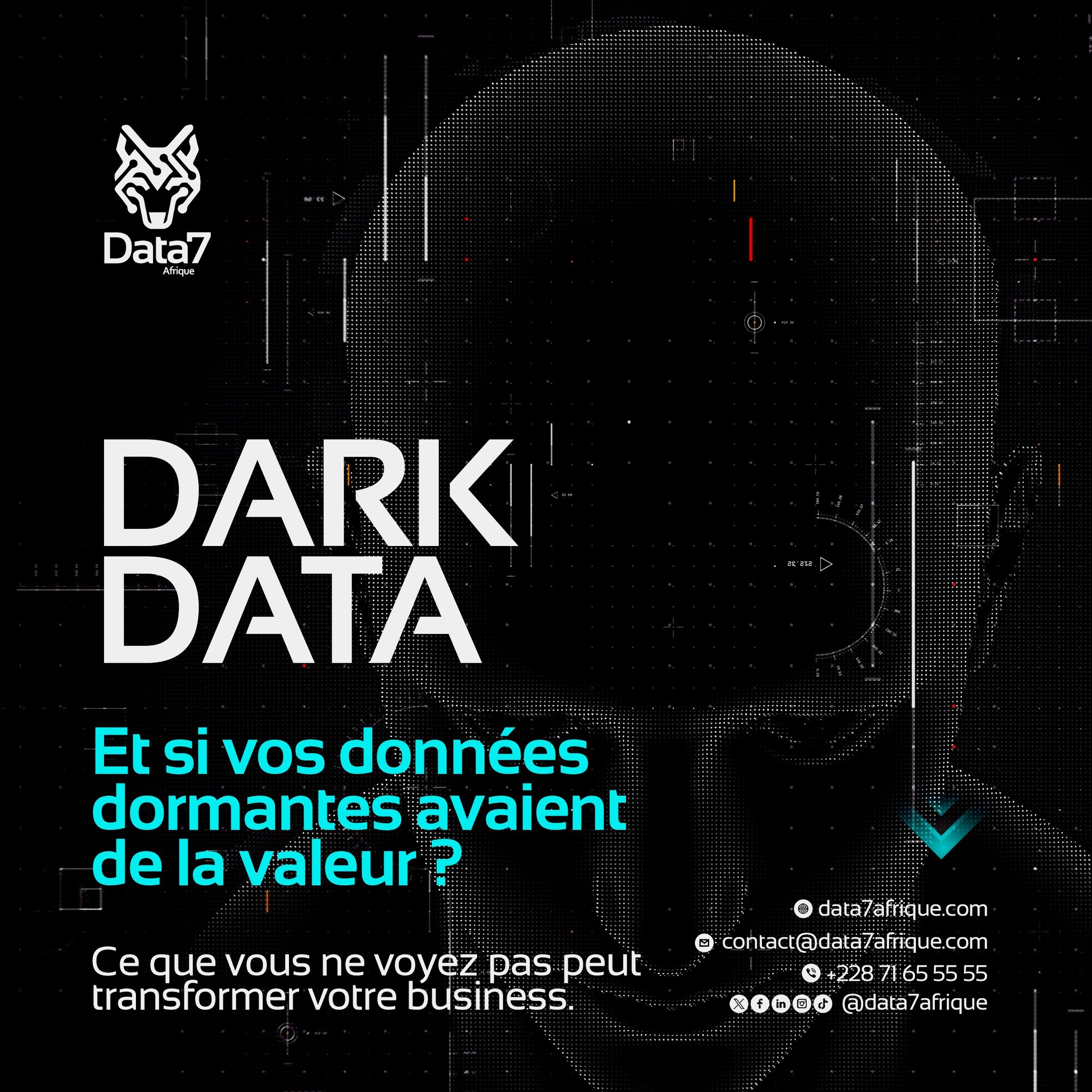 Data 7 Afrique