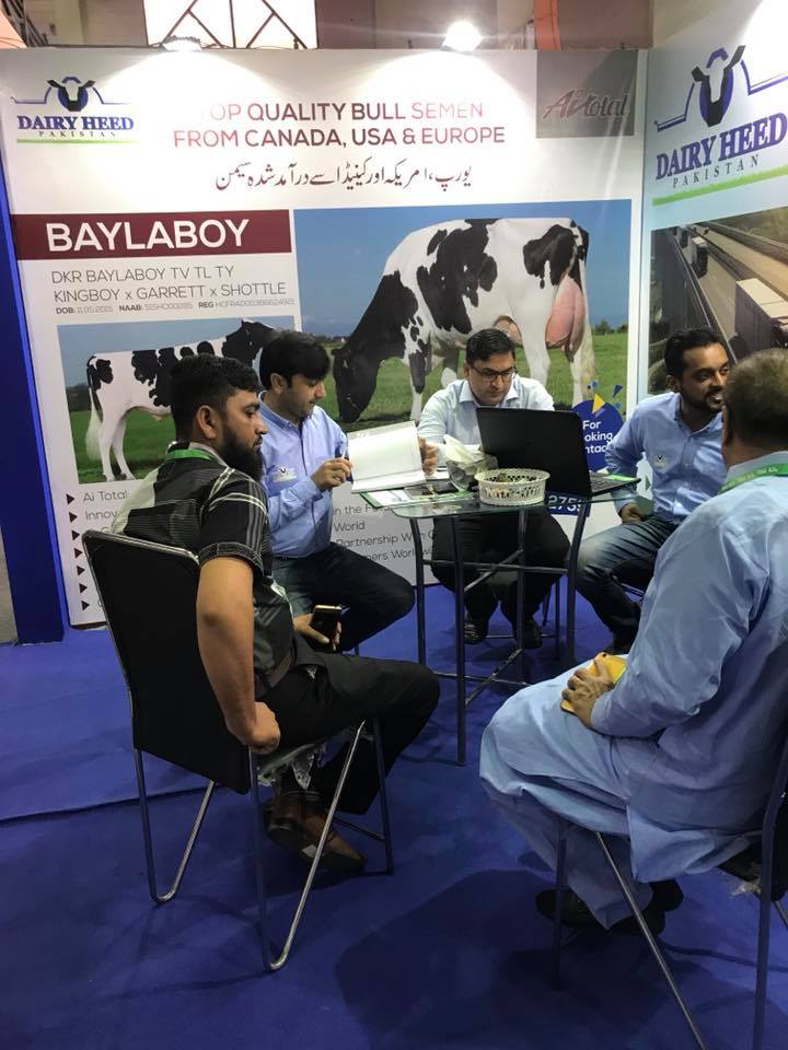 Dairy Heed Pakistan