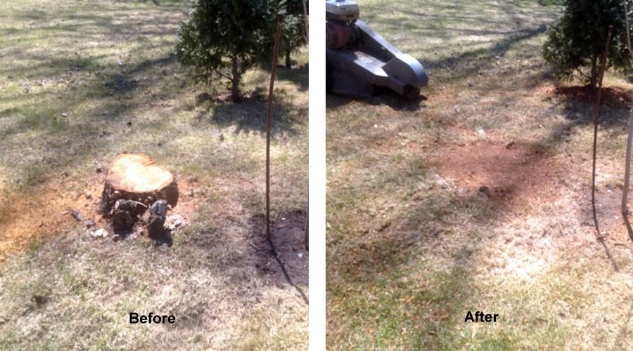Ezy - Stump Removal A tree stump can cause issues beyond its appearance ...
