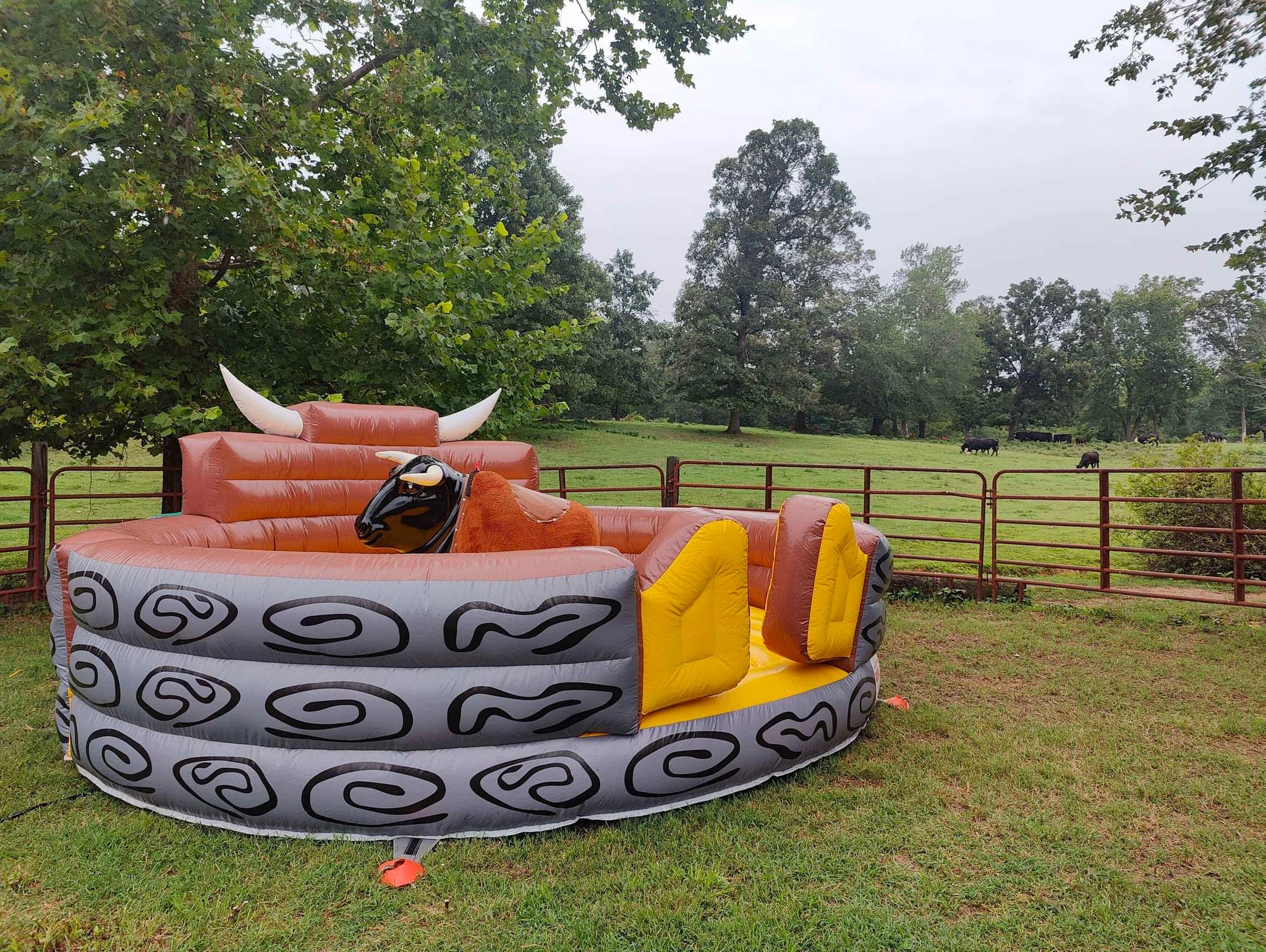 Mechanical Bull inflatable attraction for sale NEW!!! - Inflatable ...