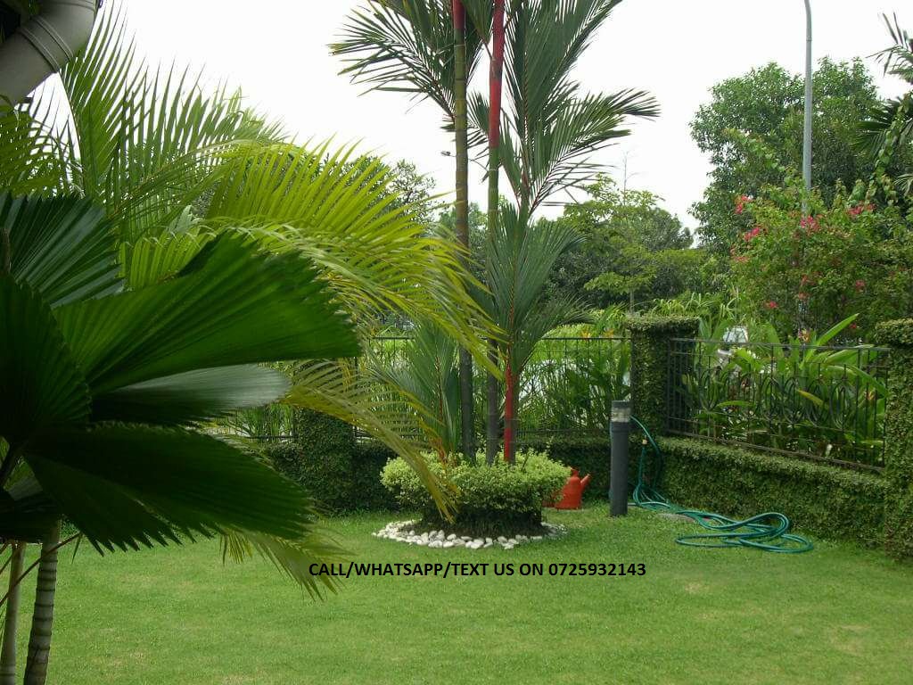 Landscaping Ideas In Kenya